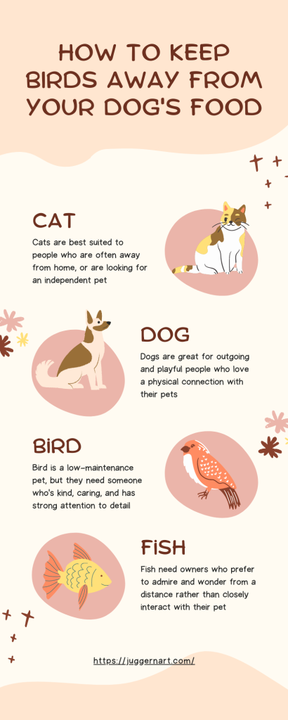 how to keep birds away from dog food