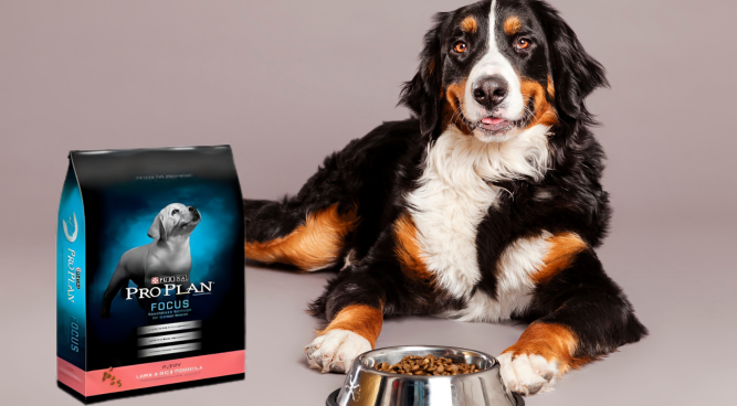 Purina Pro Plan Puppy Lamb and Rice: Nourishing Your Furry Friend for a Bright Future