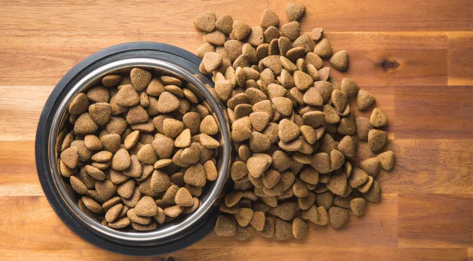 Fresh Pet Dog Food: Natural & Healthy Rolls